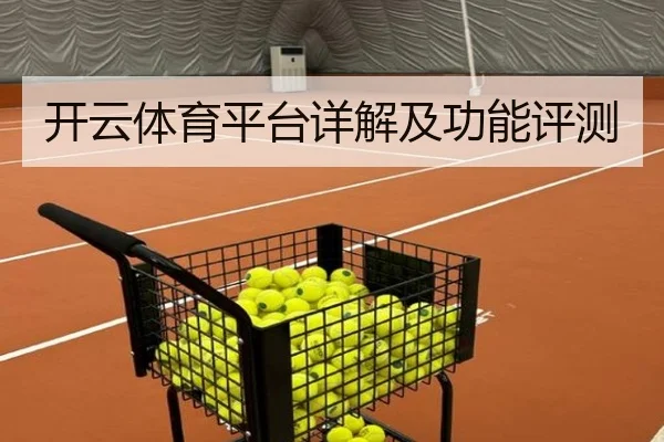 开云体育平台详解及功能评测